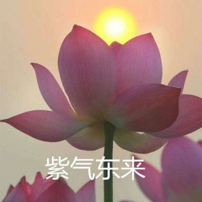 学生在校内女厕偷拍 河北地质大学：拟给予开除学籍处分